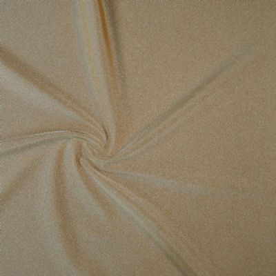 View Shiny Nylon Nude