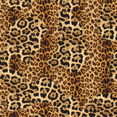 View Animal Cheetah Mix